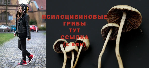 твердый Армянск