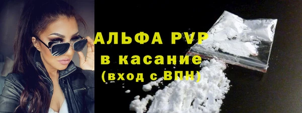 гидра Арсеньев