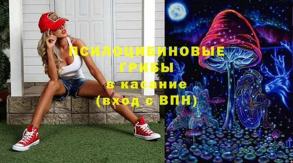 трава Аркадак